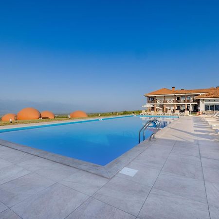 Hotel Qvevrebi Telavi Exterior photo